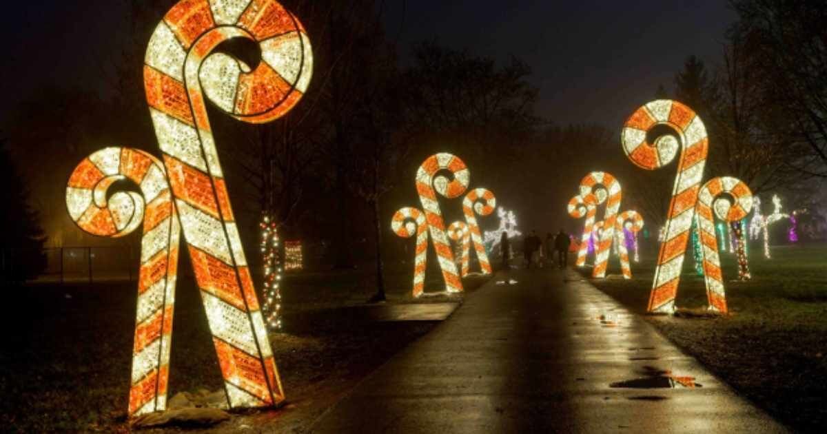 Candy cane path: A park pathway lined with illuminated candy cane decorations.